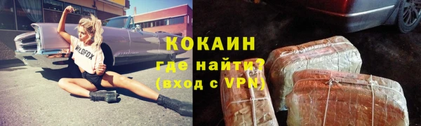 сатива Белокуриха