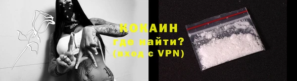 сатива Белокуриха