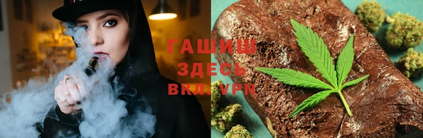 сатива Белокуриха