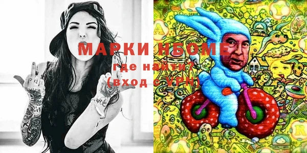 сатива Белокуриха