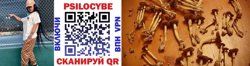 Купить  Вельск  Псилоцибиновые грибы ЛСД 